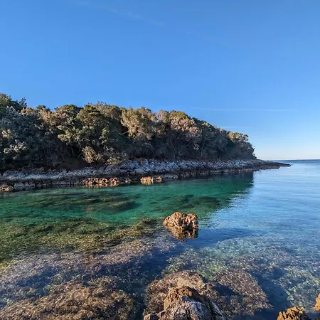 Centinera Mit Pool In Meernaehe Willa Banjole