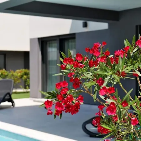 Centinera Mit Pool In Meernaehe Banjole